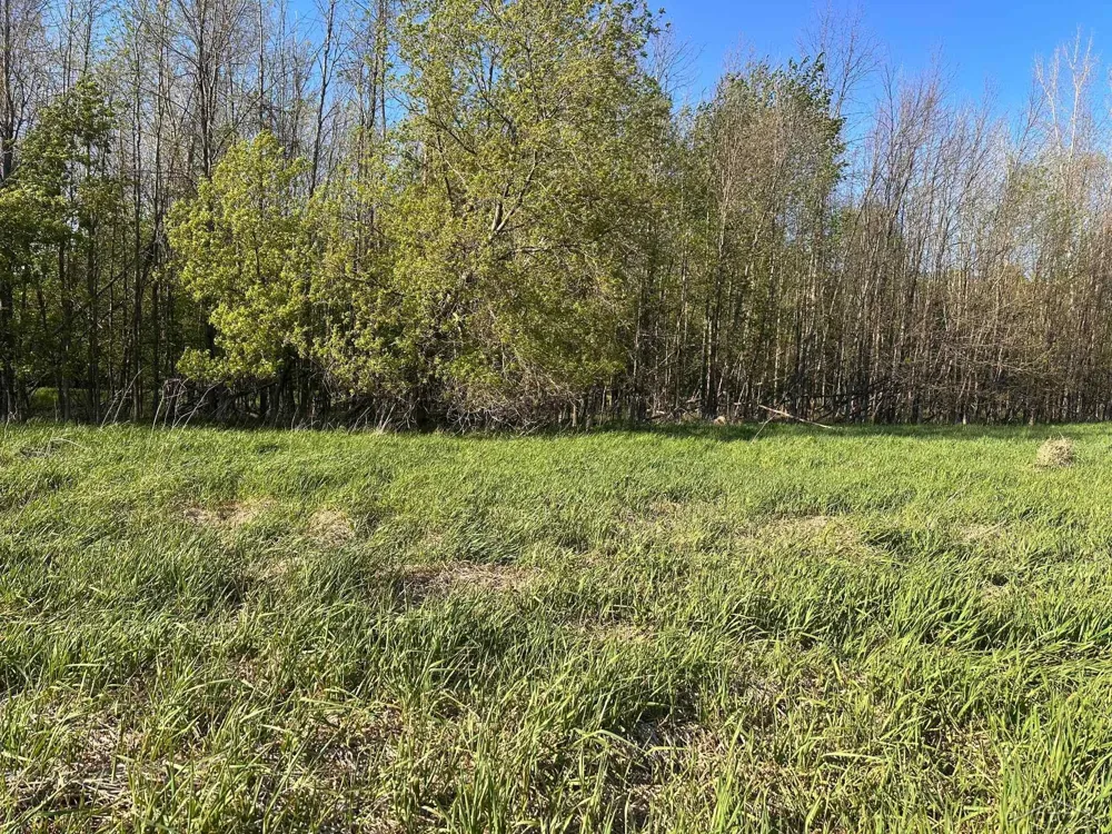 9999 Barnes Road Rich Township, MI 48744