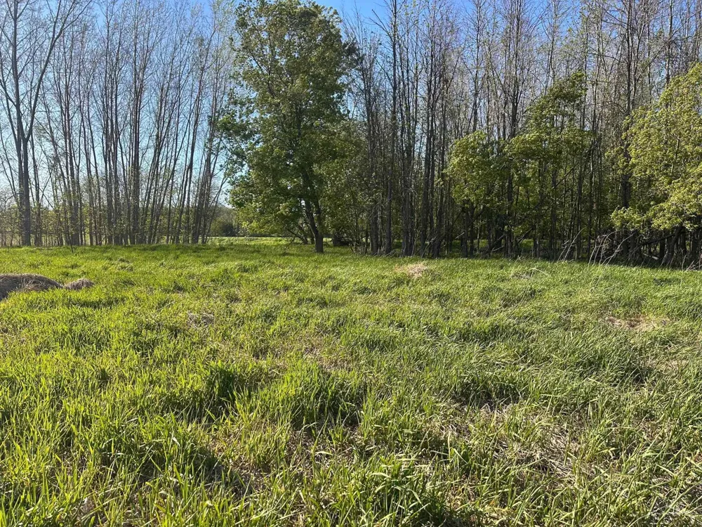 9999 Barnes Road Rich Township, MI 48744