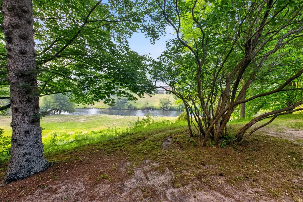 20210 Maple Drive Richmond Township, MI 49677
