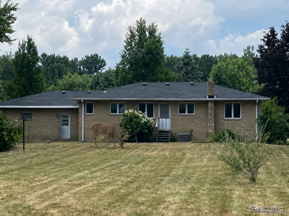 10089 Coldwater Road Flushing Charter Township, MI 48433