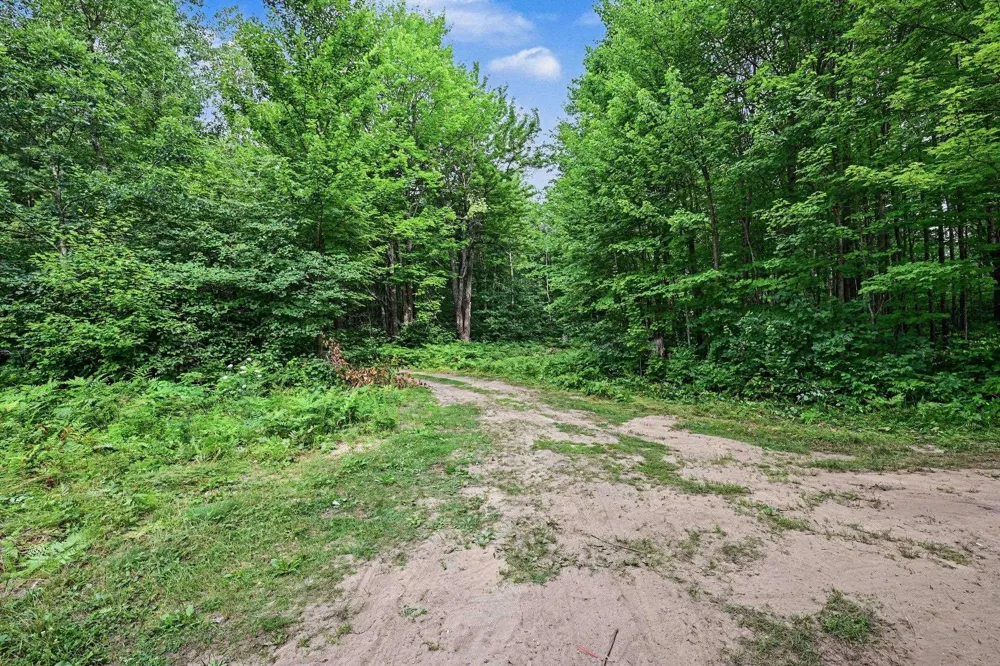 7378 E 28 3/4 ROAD Haring Charter Township, MI 49601