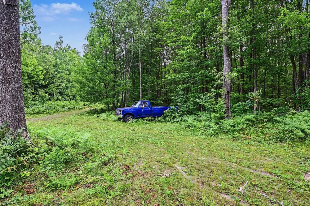 7378 E 28 3/4 ROAD Haring Charter Township, MI 49601