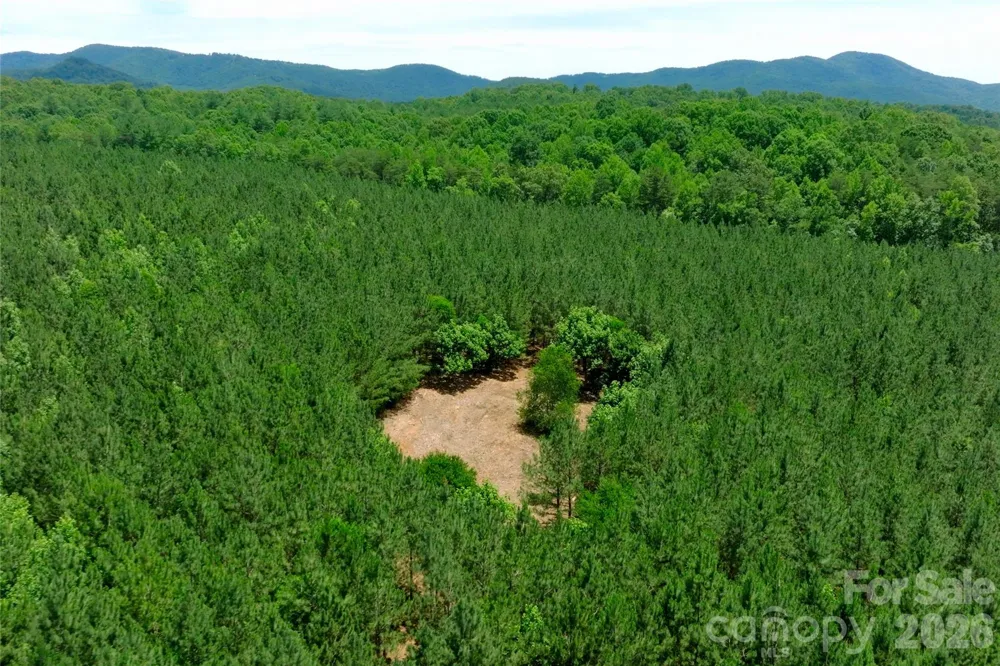 11 Morrison Road #11 Morganton, NC 28655