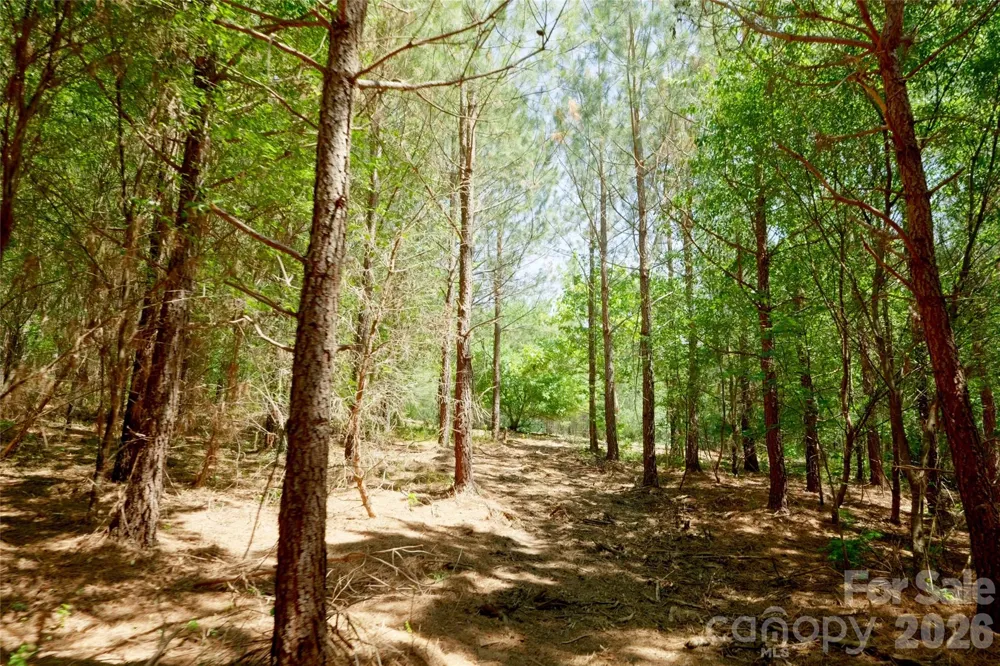 11 Morrison Road #11 Morganton, NC 28655