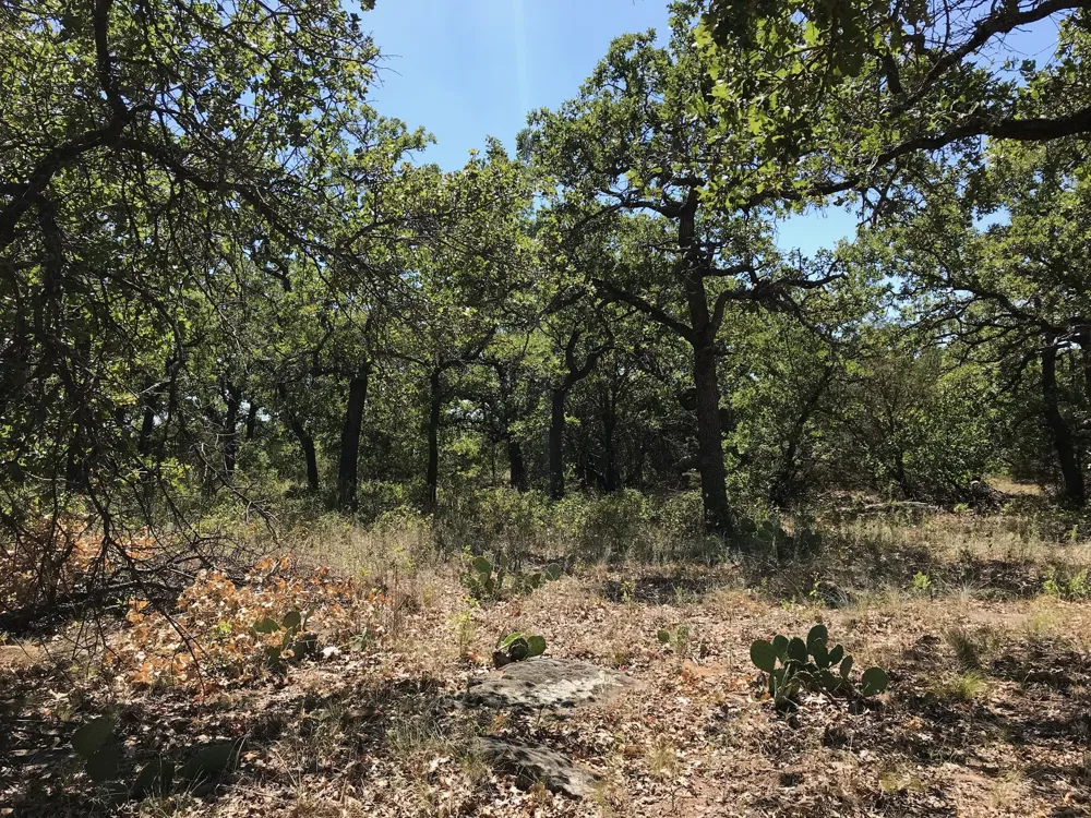 Glenhollow Drive Gordon, TX 76453
