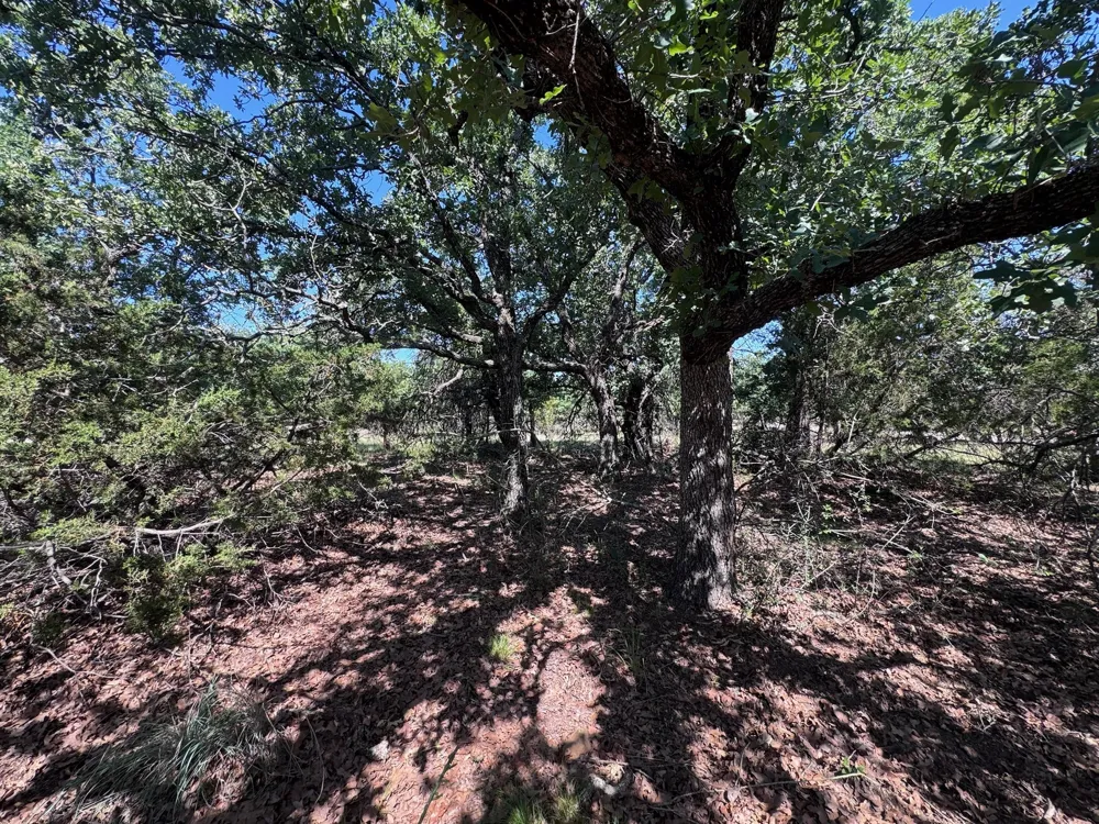 Glenhollow Drive Gordon, TX 76453