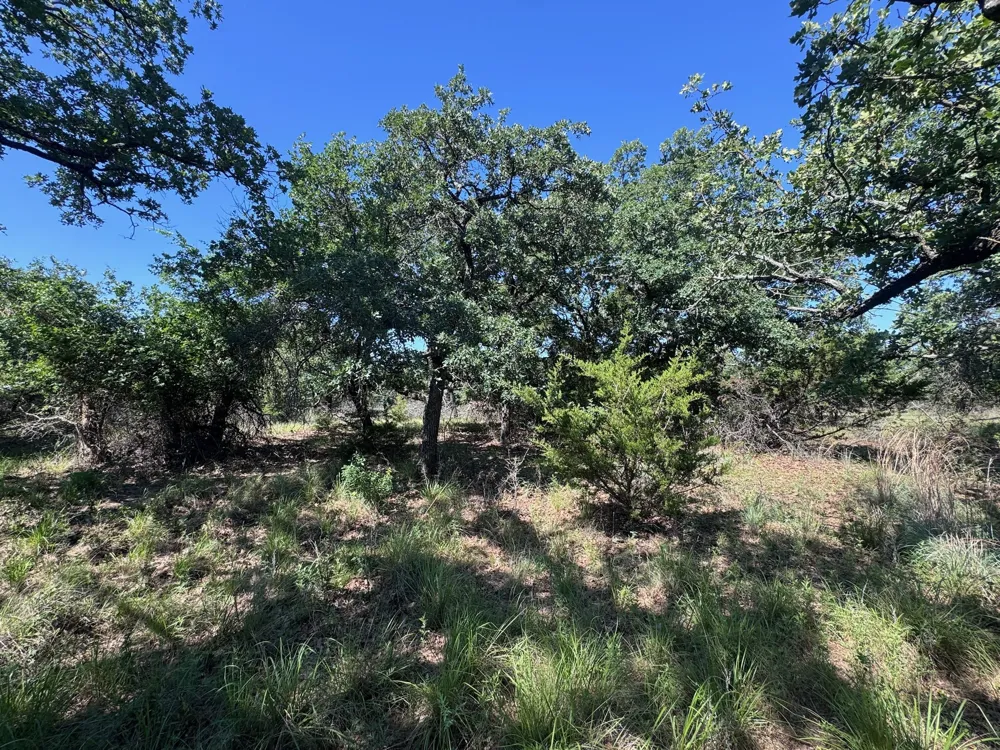 Glenhollow Drive Gordon, TX 76453