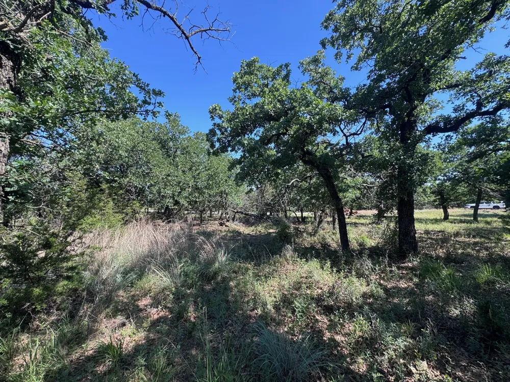 Glenhollow Drive Gordon, TX 76453
