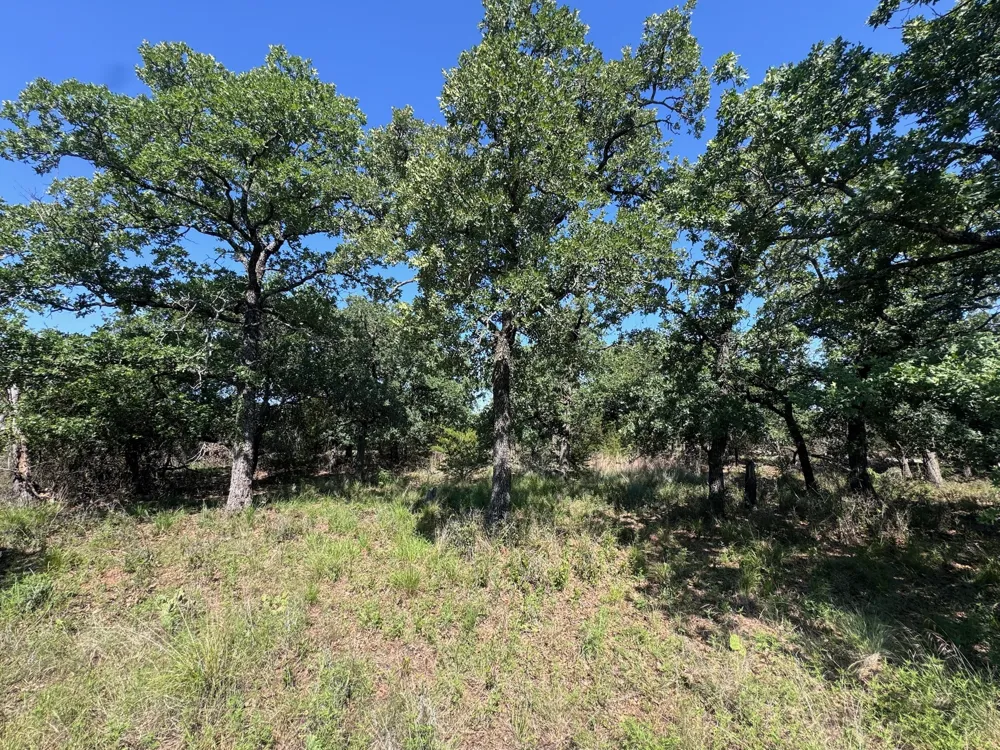 Glenhollow Drive Gordon, TX 76453