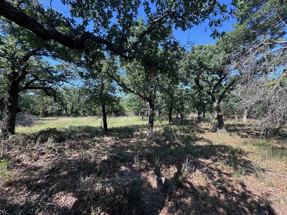 Glenhollow Drive Gordon, TX 76453