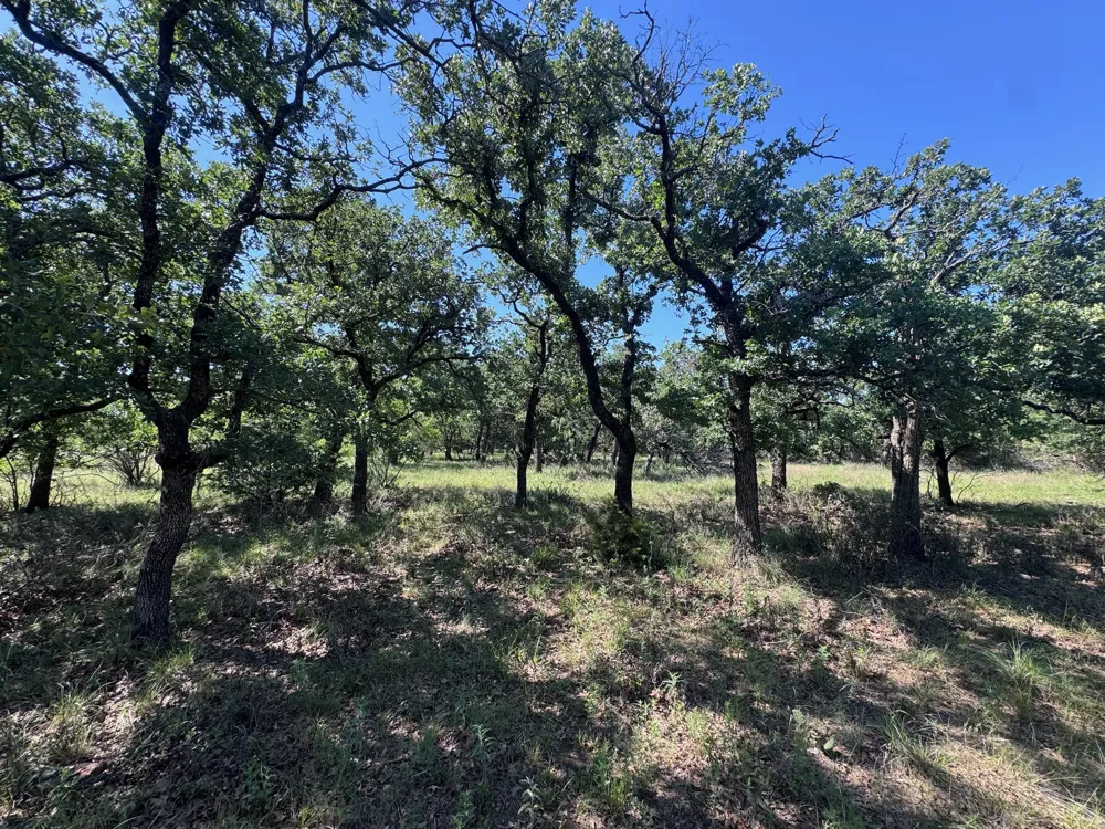 Glenhollow Drive Gordon, TX 76453