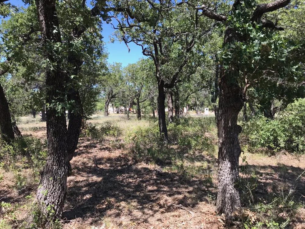 Glenhollow Drive Gordon, TX 76453