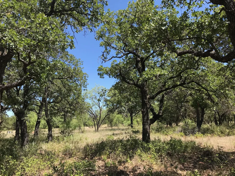 Glenhollow Drive Gordon, TX 76453