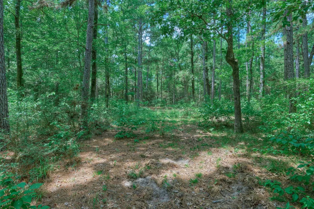 8327 Fm 980 N Huntsville, TX 77320