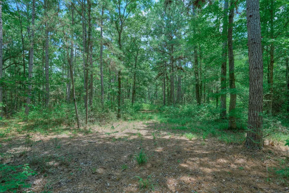 8327 Fm 980 N Huntsville, TX 77320