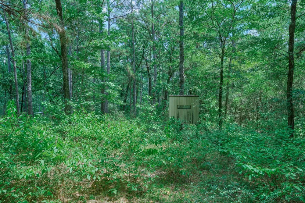 8327 Fm 980 N Huntsville, TX 77320