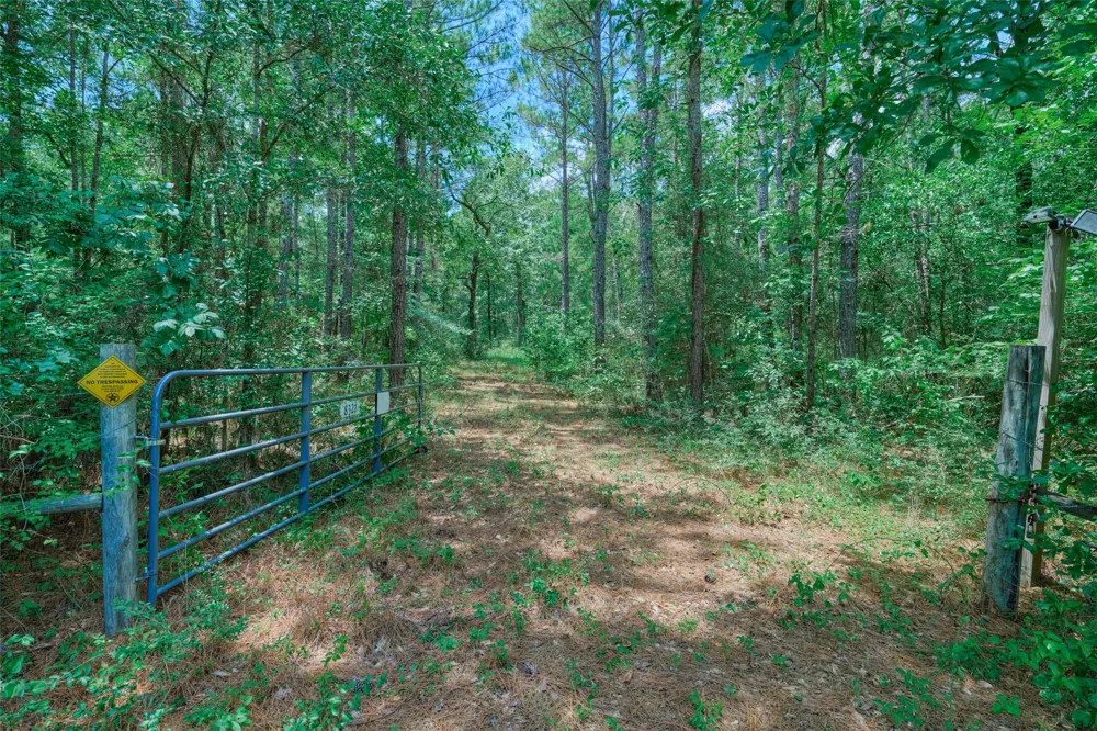 8327 Fm 980 N Huntsville, TX 77320