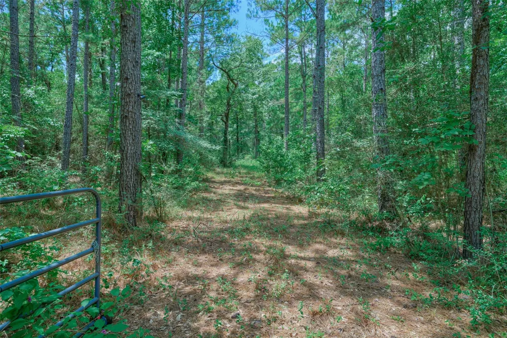 8327 Fm 980 N Huntsville, TX 77320