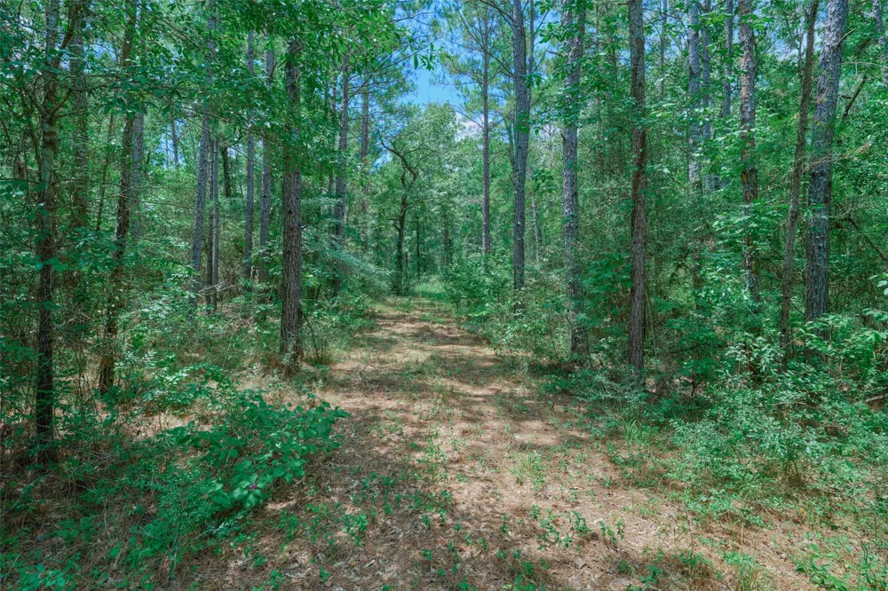 8327 Fm 980 N Huntsville, TX 77320