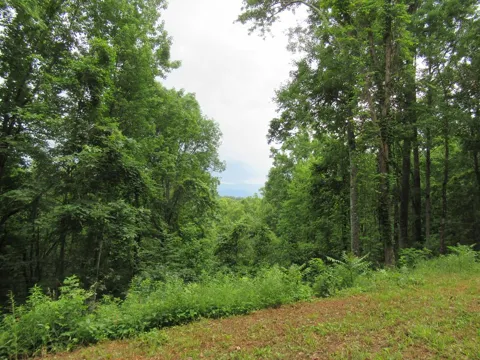 Berry Cove Rd
