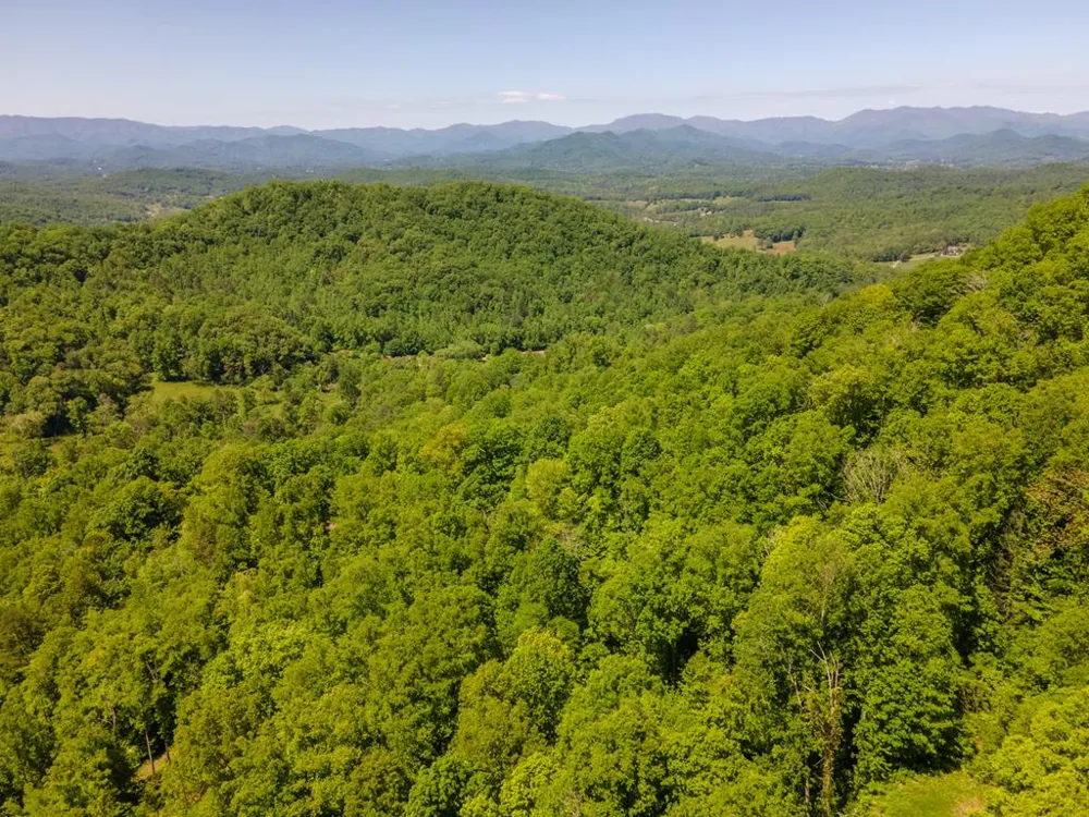 Berry Cove Rd Franklin, NC 28734