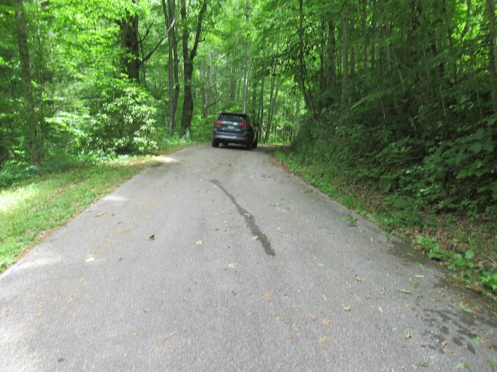 Berry Cove Rd Franklin, NC 28734
