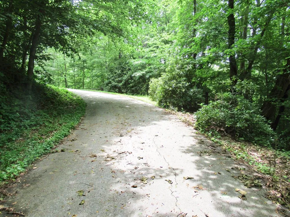 Berry Cove Rd Franklin, NC 28734