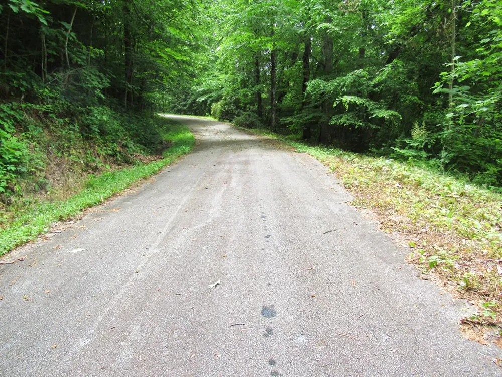 Berry Cove Rd Franklin, NC 28734