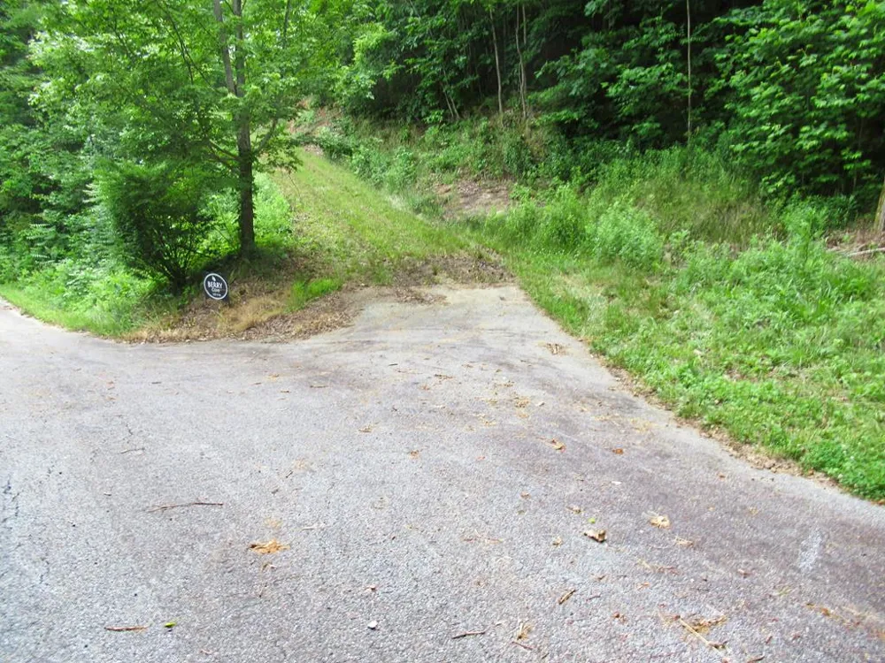 Berry Cove Rd Franklin, NC 28734