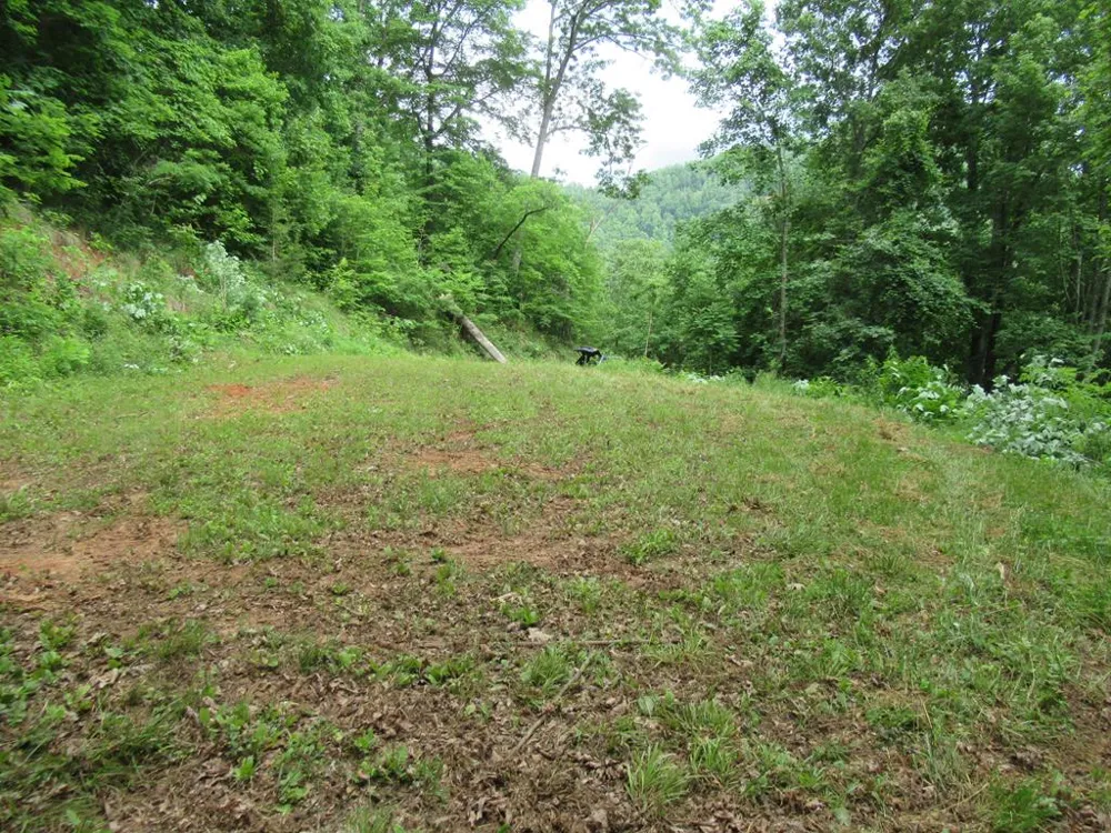 Berry Cove Rd Franklin, NC 28734