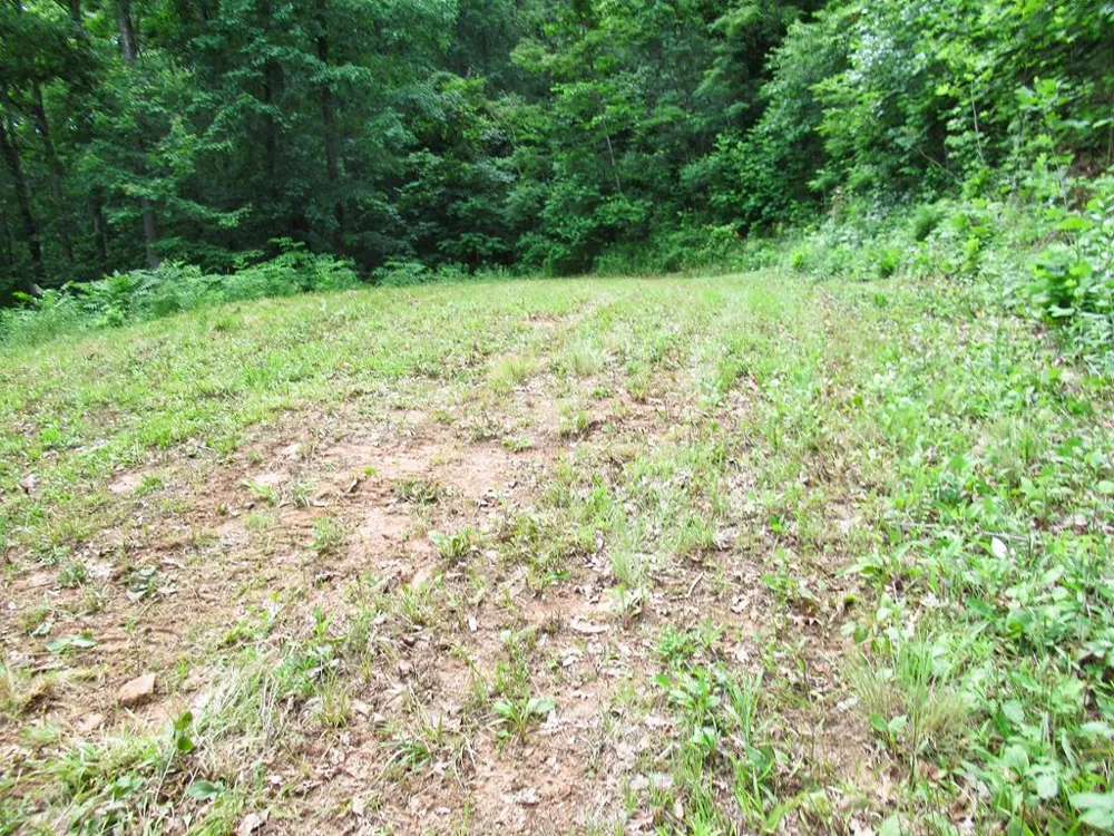 Berry Cove Rd Franklin, NC 28734