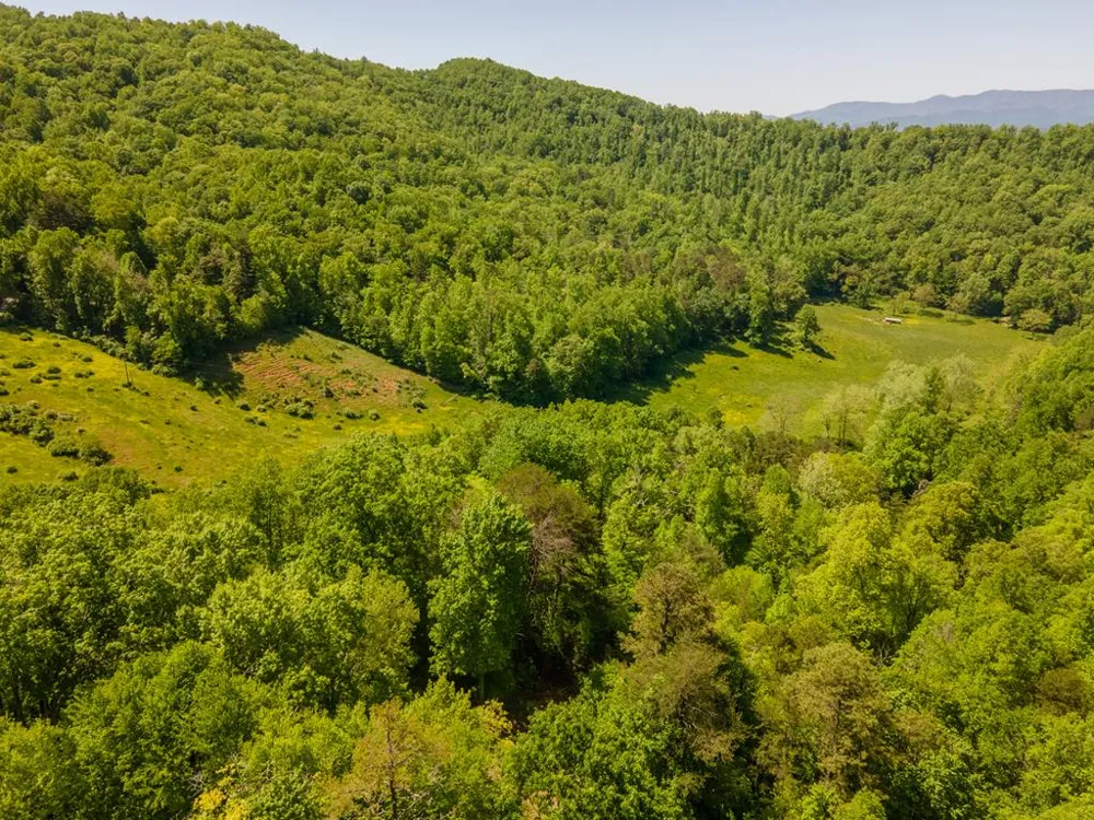Berry Cove Rd Franklin, NC 28734