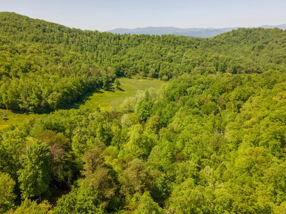 Berry Cove Rd Franklin, NC 28734