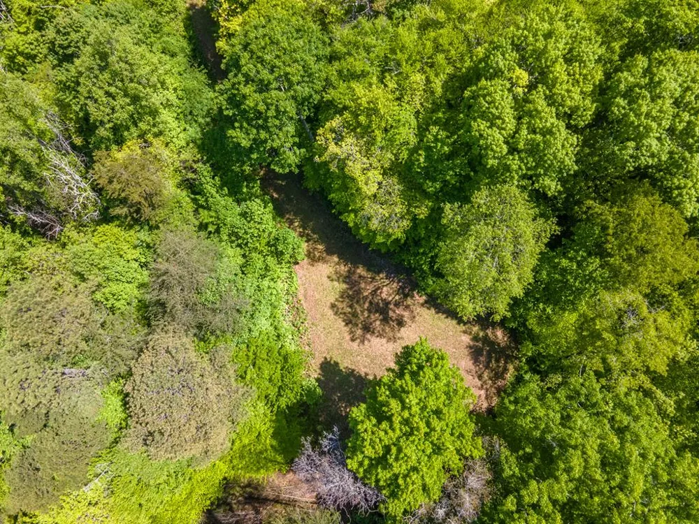 Berry Cove Rd Franklin, NC 28734