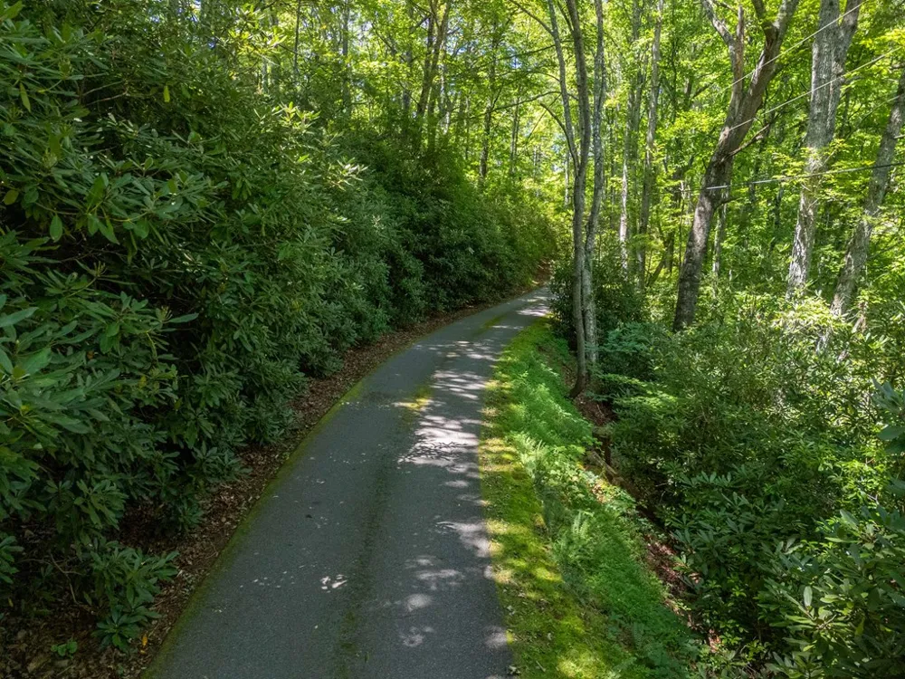 Gudger Hill Rd Cullowhee, NC 28723