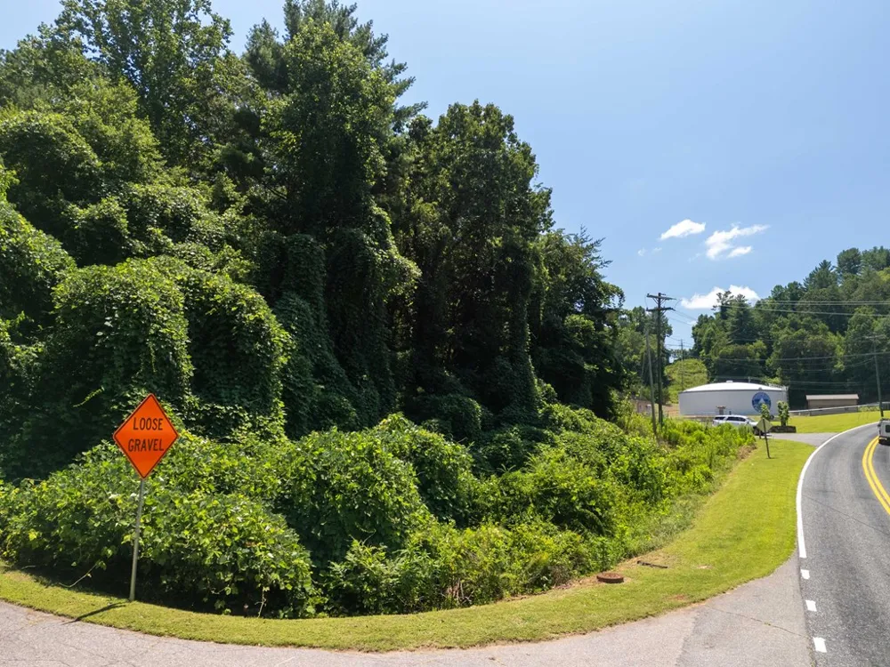 Gudger Hill Rd Cullowhee, NC 28723