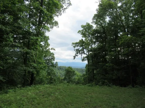 Berry Cove Rd
