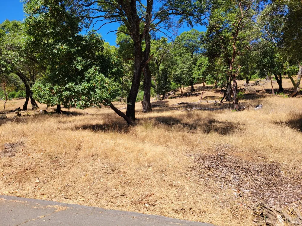 208 Juniper Drive Napa, CA 94558