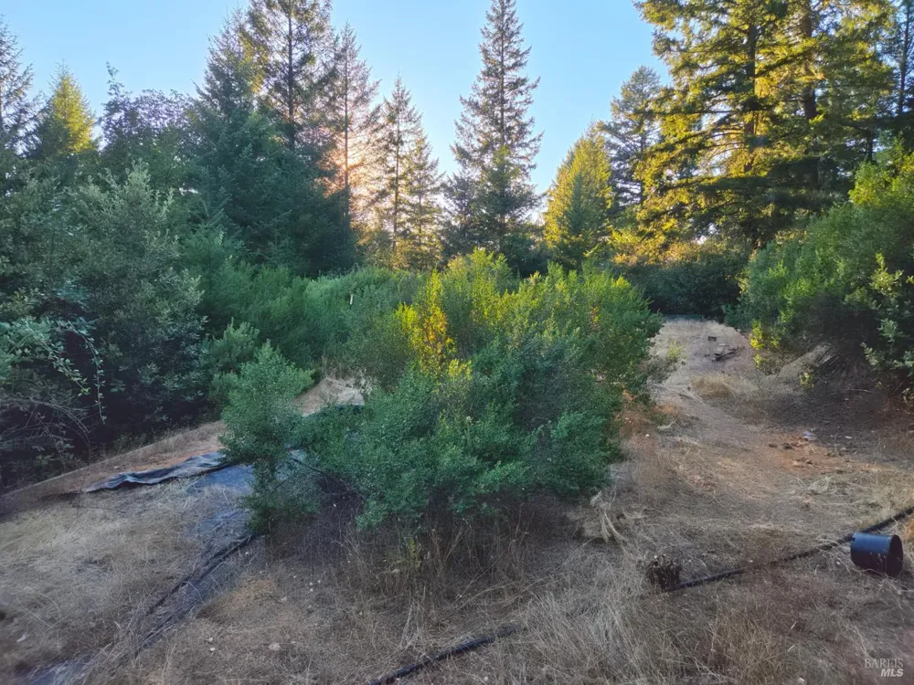 Address Not Shown Willits, CA 95490