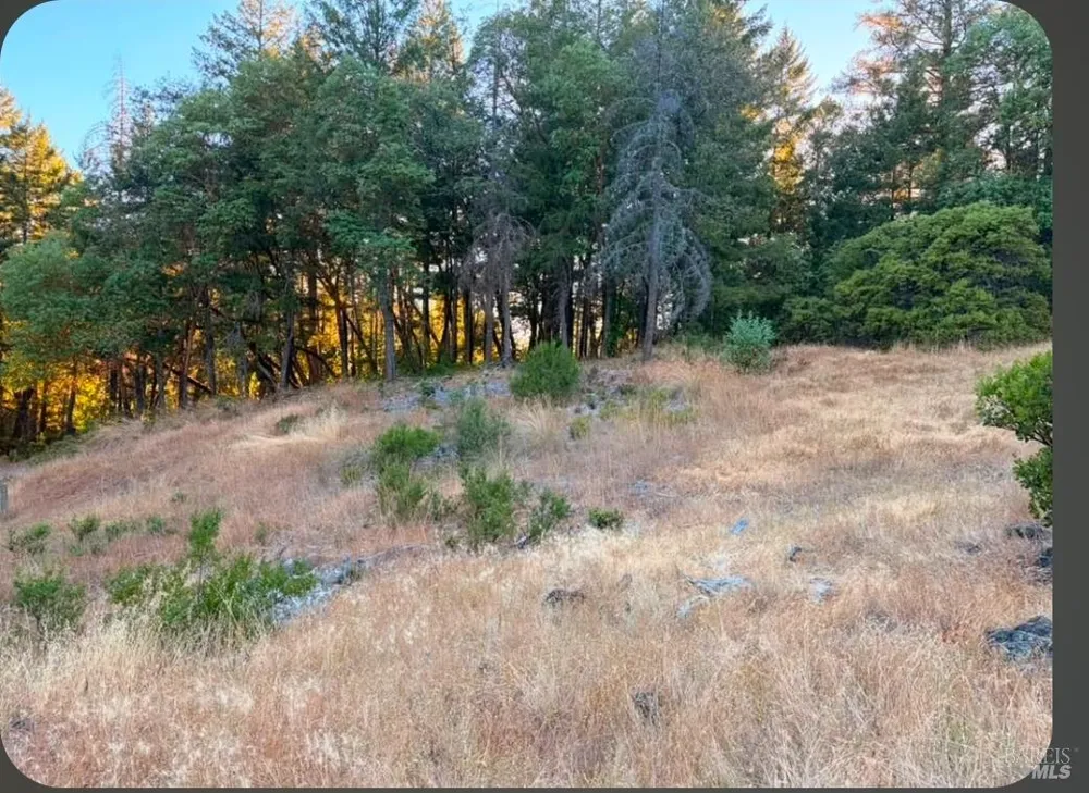 Address Not Shown Willits, CA 95490