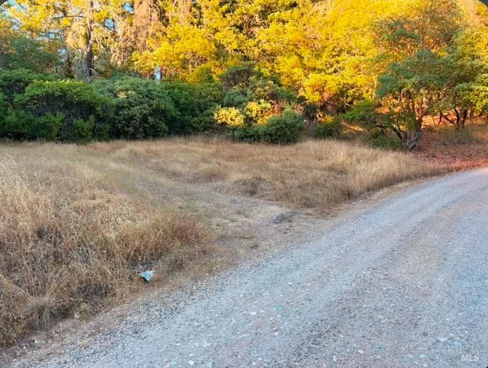 Address Not Shown Willits, CA 95490