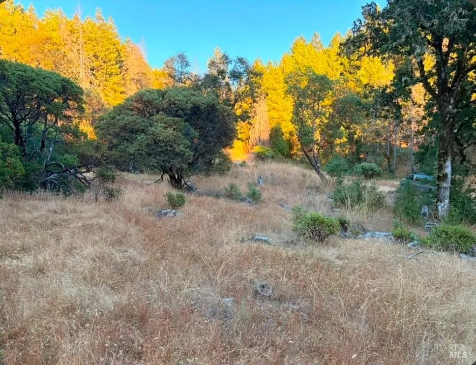 Address Not Shown Willits, CA 95490