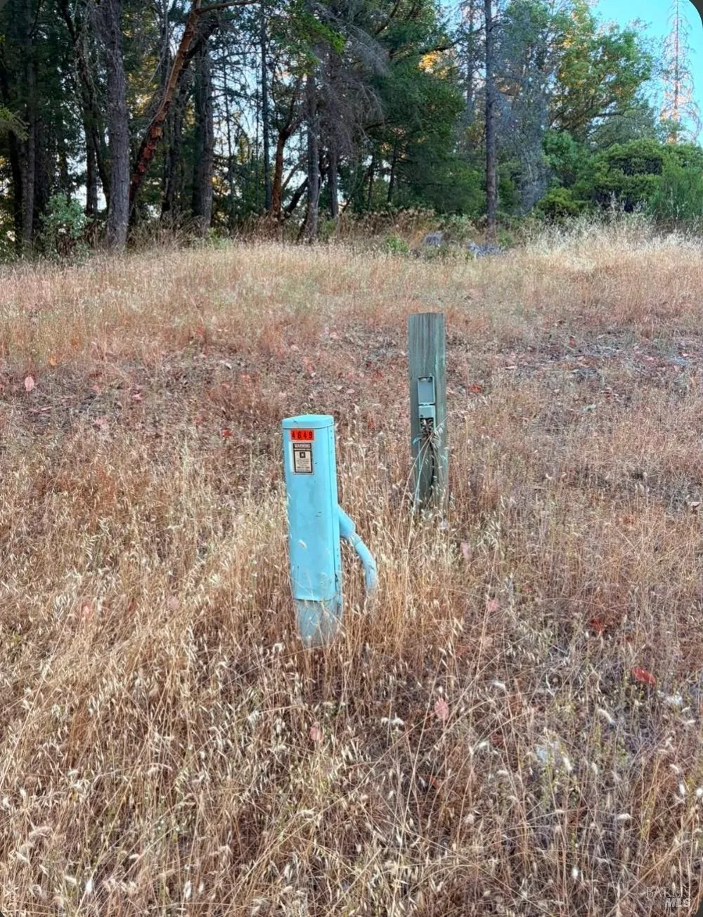 Address Not Shown Willits, CA 95490