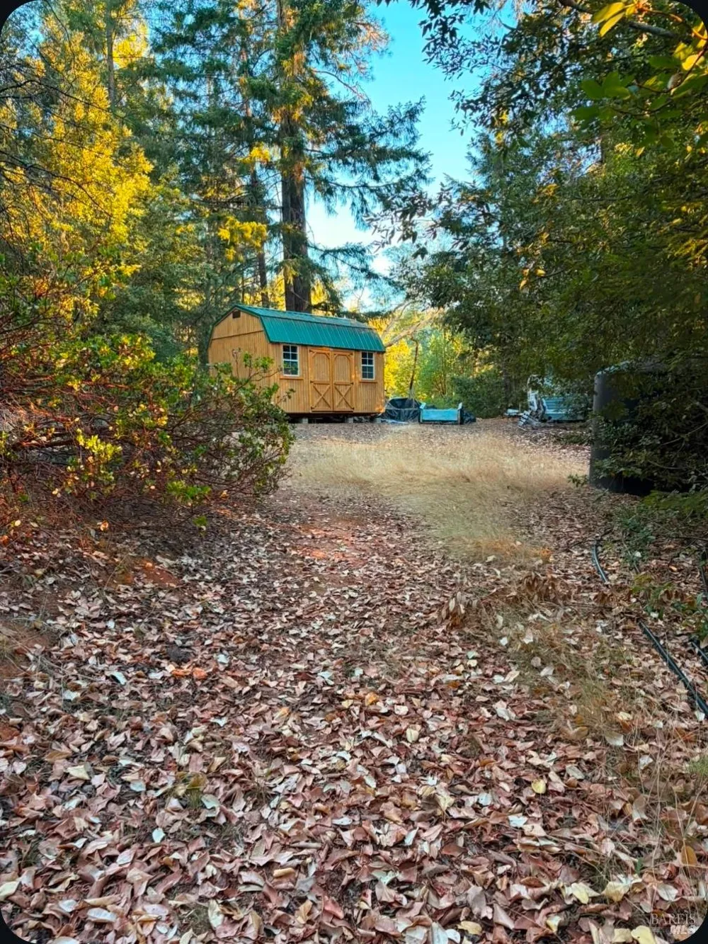 Address Not Shown Willits, CA 95490