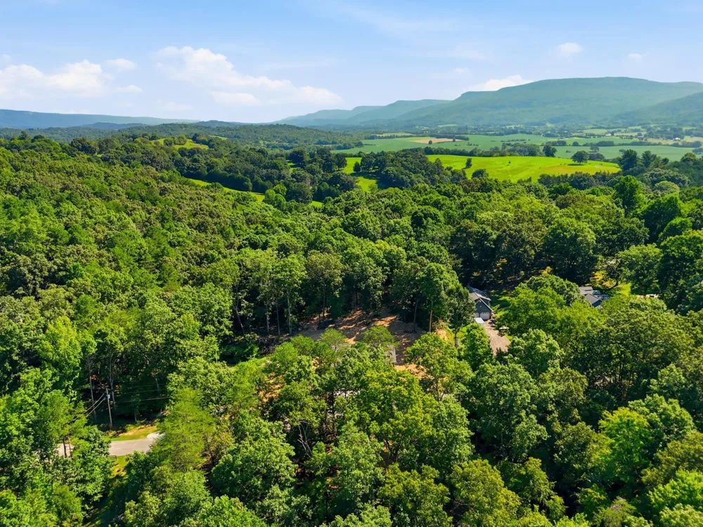 440 Dogwood Lane Dunlap, TN 37327