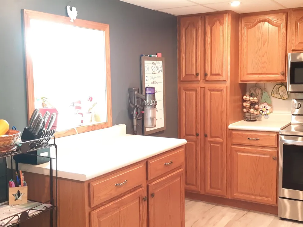 4112 W Sanilac Road Juniata Township, MI 48768