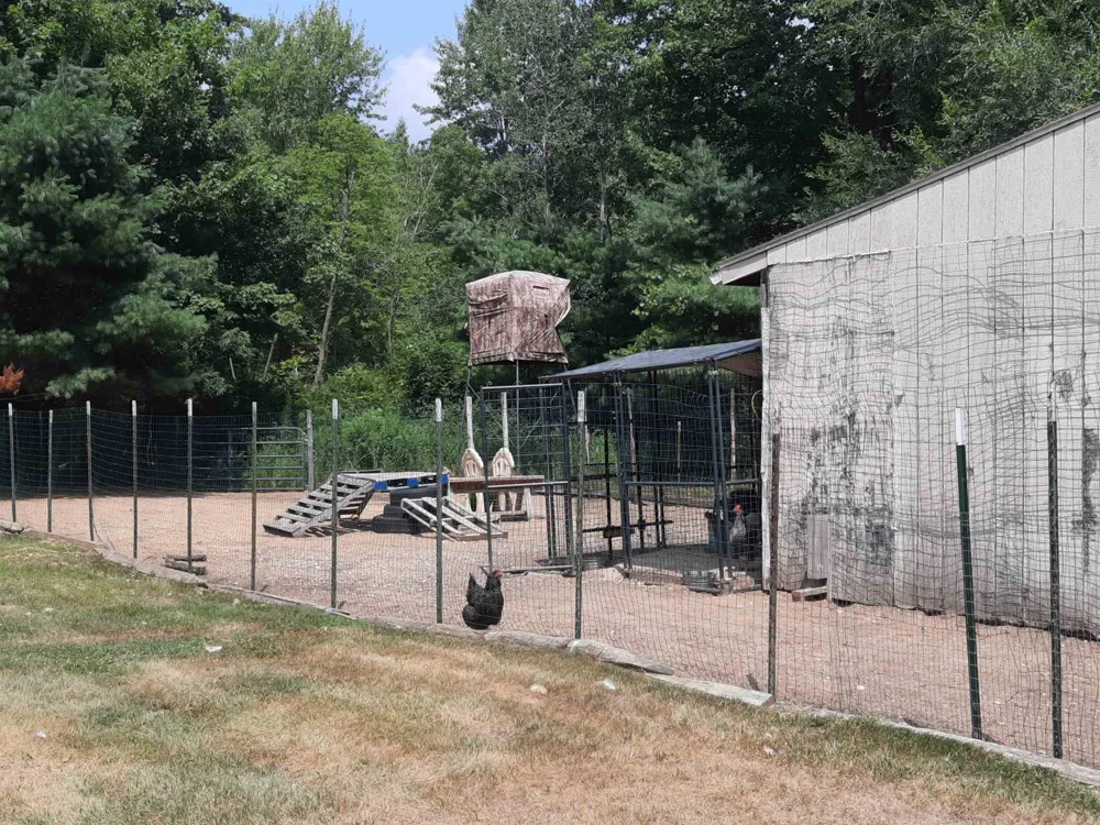 4112 W Sanilac Road Juniata Township, MI 48768