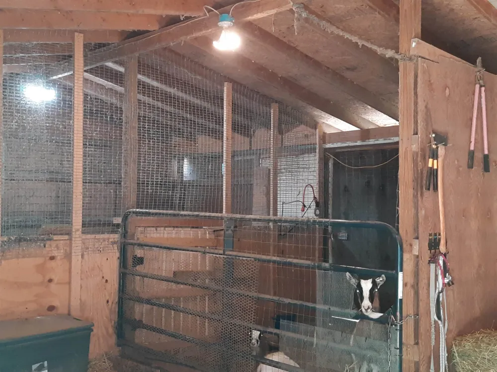 4112 W Sanilac Road Juniata Township, MI 48768
