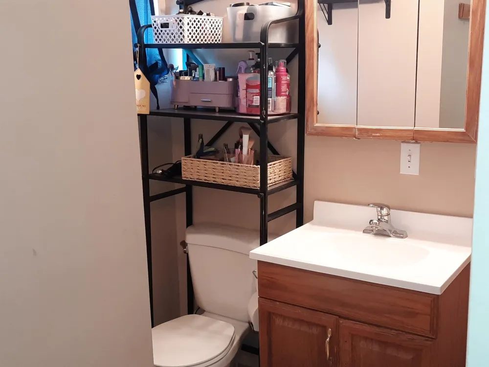 4112 W Sanilac Road Juniata Township, MI 48768