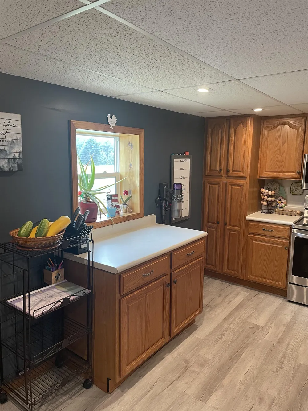 4112 W Sanilac Road Juniata Township, MI 48768